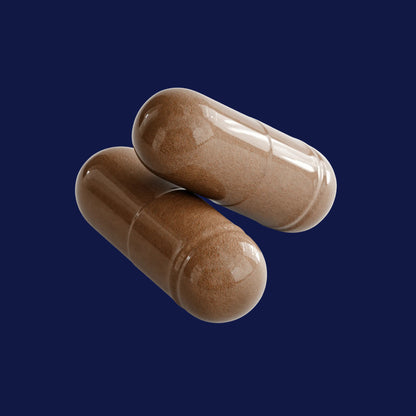 Prostate Support