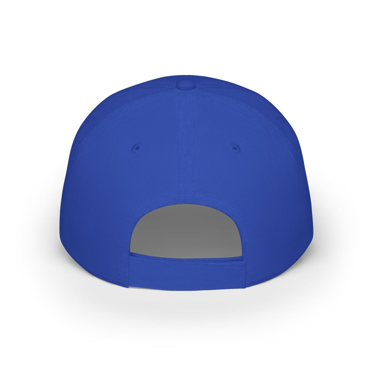 Embroidered Lion Shield Cap — Low Profile Baseball Hat with Global Wellness Logo